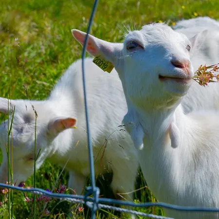 Charming Mountain Retreat Near Trails And Center 펜션 Beitostolen