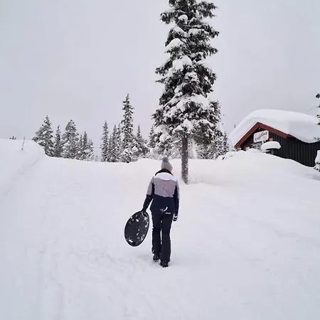 Charming Mountain Retreat Near Trails And Center *