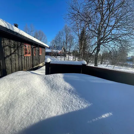 Charming Mountain Retreat Near Trails And Center Σπίτι διακοπών *