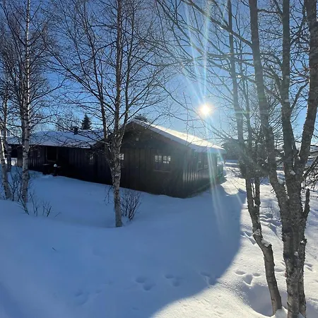 펜션 Charming Mountain Retreat Near Trails And Center Beitostolen