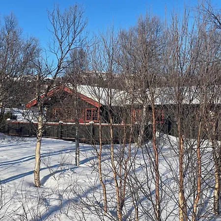 Charming Mountain Retreat Near Trails And Center Beitostolen