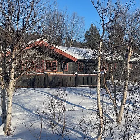 Charming Mountain Retreat Near Trails And Center * Beitostolen